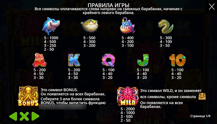 The values are automatically adapted to the selected bet size