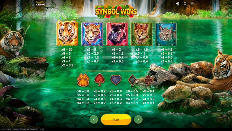 Big Cat Rescue MegaWays payout table